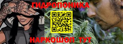 прущие грибы Апшеронск