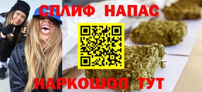 прущие грибы Апшеронск