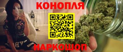прущие грибы Апшеронск